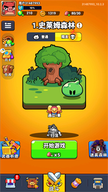 口袋宠物猪