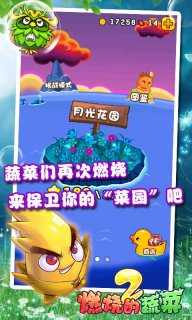 燃烧的蔬菜1