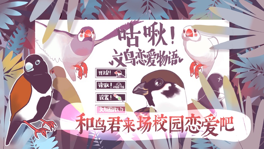 文鸟恋爱物语下载完整版