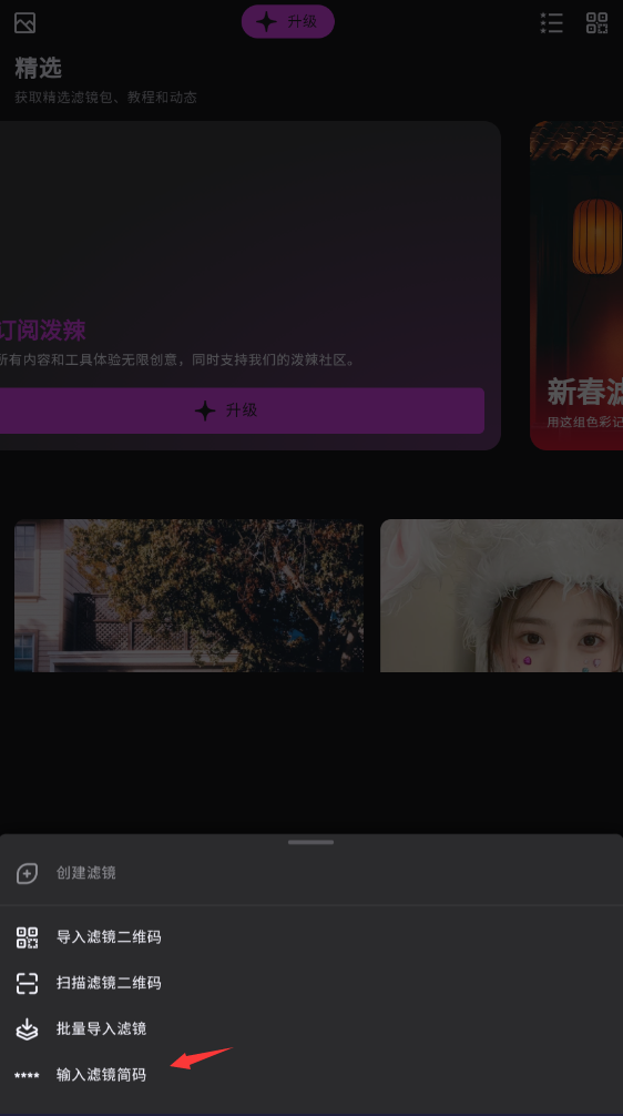 泼辣修图软件