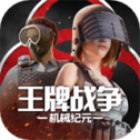 王牌战争国际服