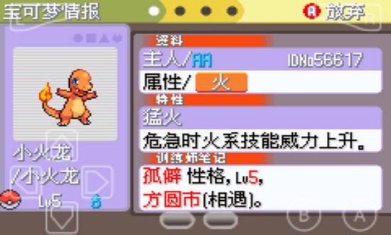 口袋妖怪：白金光