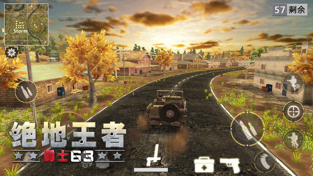 绝地王者勇士63(Battle Royale 3D - Warrior63)
