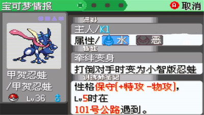 口袋妖怪：刽曜之影游戏