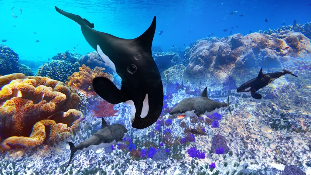 虎鲸模拟器(The Killer Whale)