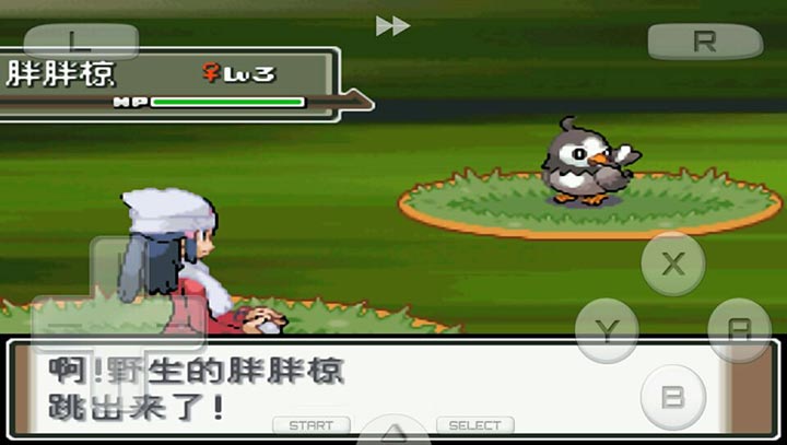 口袋妖怪：白金493 汉化版（悟饭）