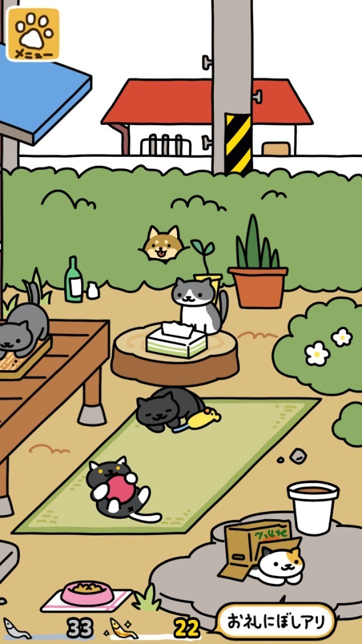 猫咪后院