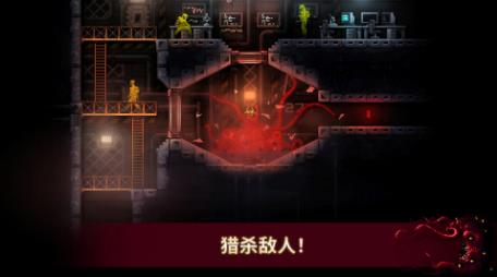 红怪