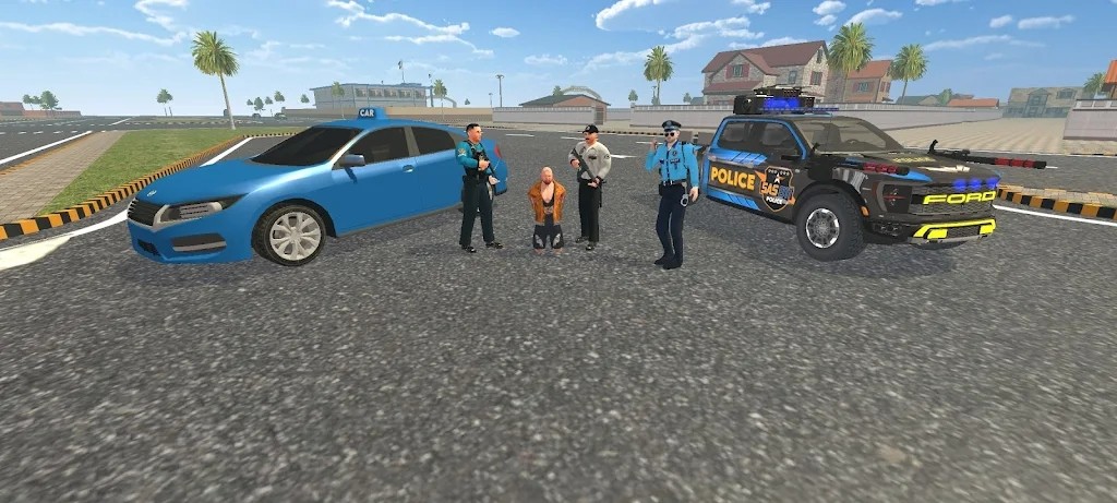 警察追击赛车驾驶游戏(Police Car Chase Car Dri