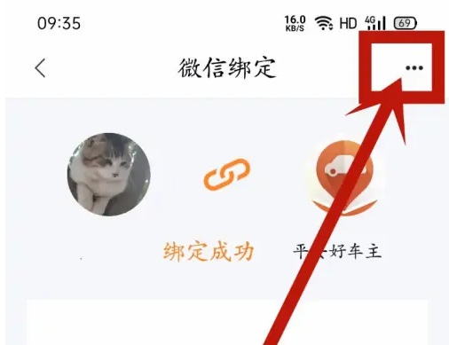 平安好车主最新版