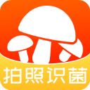 菌窝子app