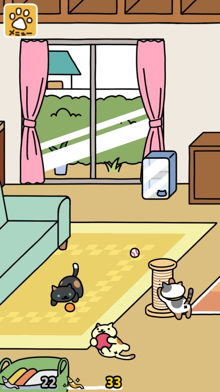 猫咪后院