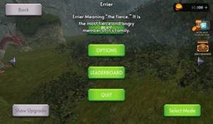Dragon Flying Simulator