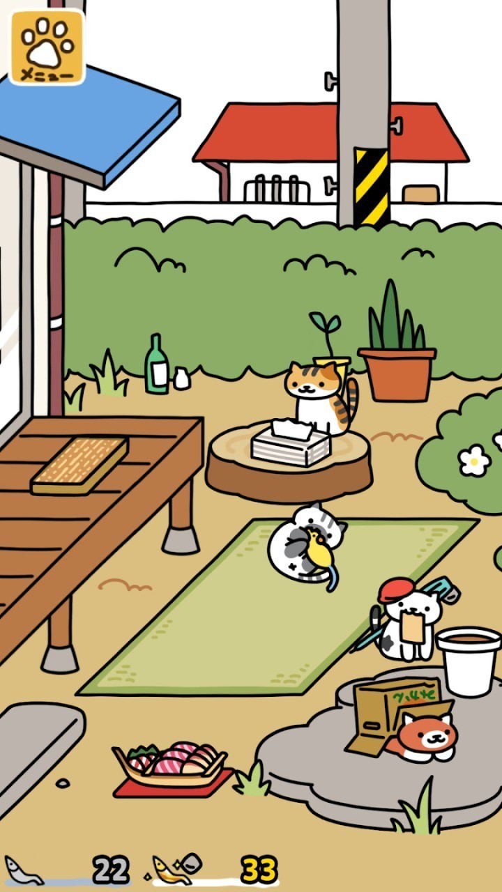 猫咪后院
