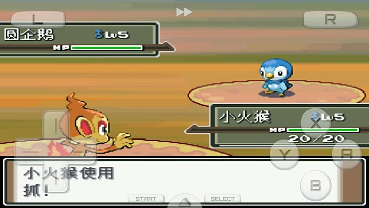 口袋妖怪：白金493 汉化版（悟饭）