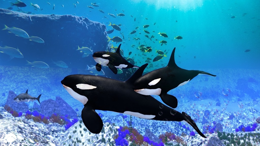 虎鲸模拟器(The Killer Whale)