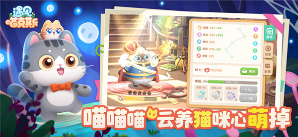 遇见喵克斯