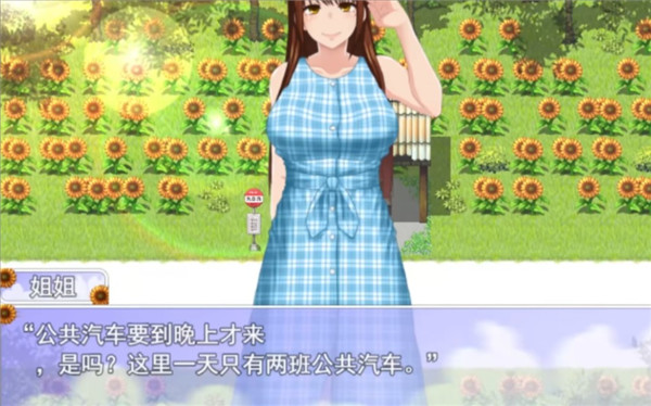我的暑假秘密回忆作弊版