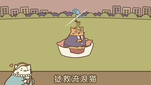 音乐猫咪安卓版