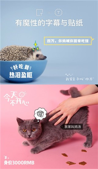 猫饼APP
