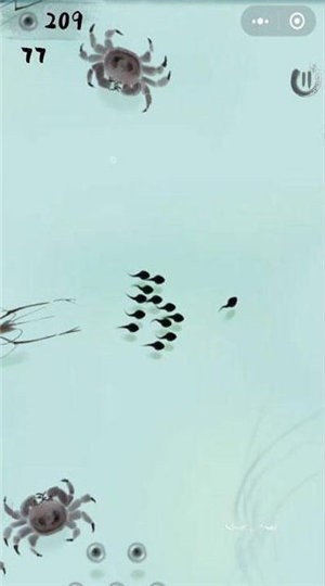 蝌蚪大作战墨虾探蝌