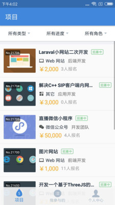 码市(软件外包)
