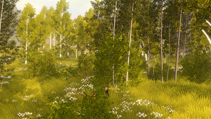 wilderless荒野