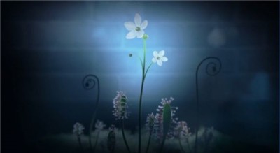 白色情人节2谎言之花中文版