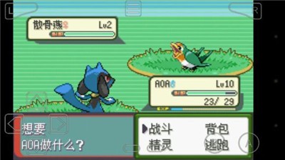 口袋妖怪釉色汉化版