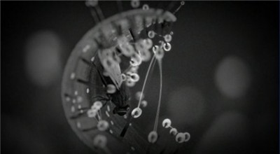 白色情人节2谎言之花中文版