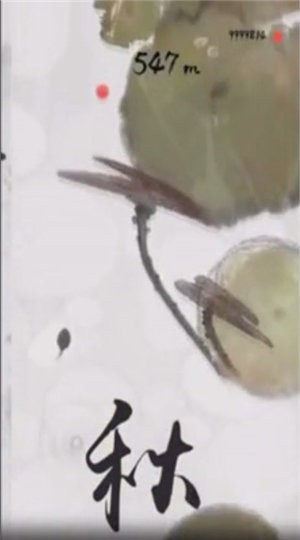 蝌蚪大作战墨虾探蝌
