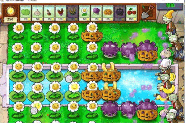植物大战僵尸95版原版