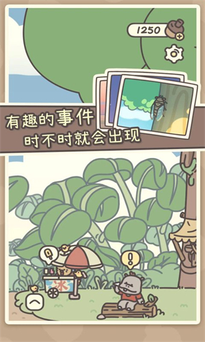 橡子屋正版