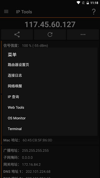 IPTools安卓去广告版(ip查询ping工具)