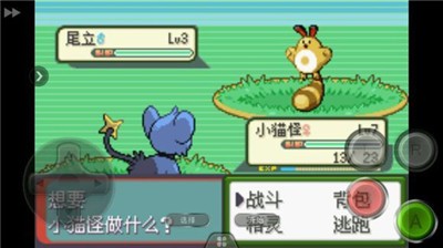 口袋妖怪釉色汉化版