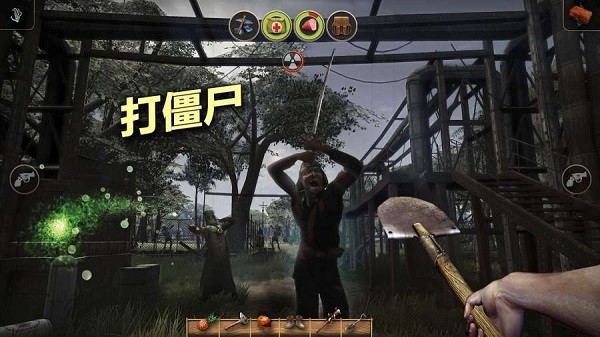 辐射岛高级版