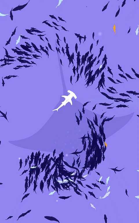 深海鱼群官方手机版