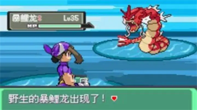 口袋妖怪漆黑的魅影金手指破解版