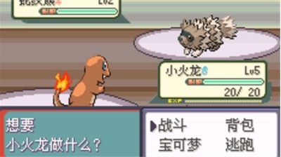 口袋妖怪传说绿宝石随机破解版