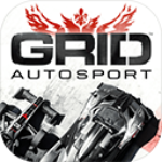 GRID超级房车赛安卓破解版