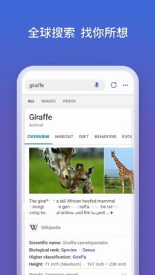 BingSearch