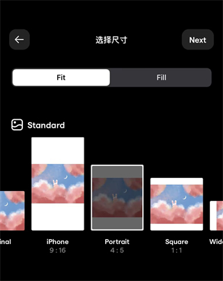InstaSizeapp9