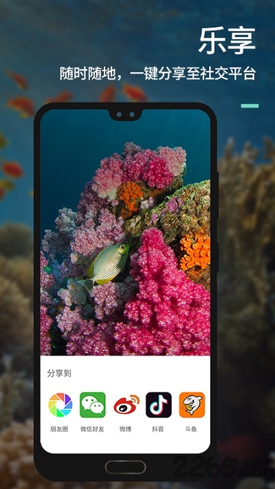 youcandive最新版