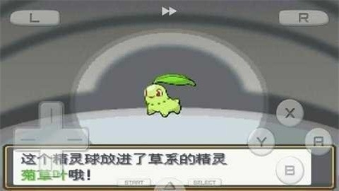 口袋妖怪：心金手机中文版