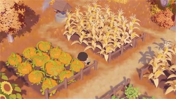 puffpalsislandskies
