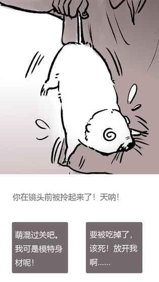 竹鼠活下去官方最新安卓版