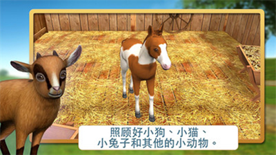 宠物世界3d我的动物救援破解版内置菜单版