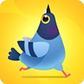 疯狂的鸽子最新版PigeonPop