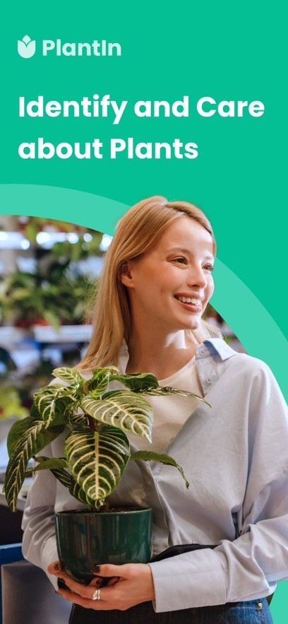 PlantIn植物识别app手机版