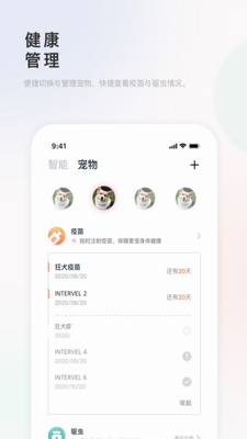 DidiPet生活